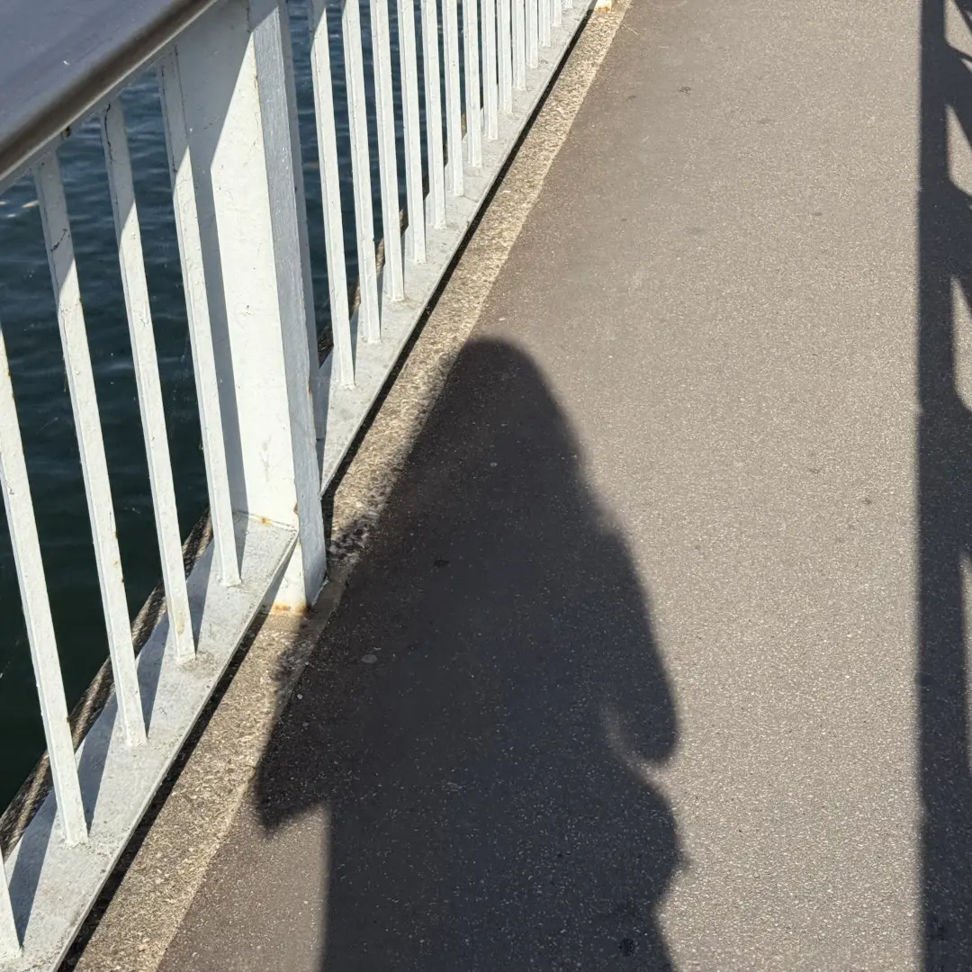 [?]